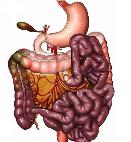 腸息肉者，排便出現(xiàn)3個異常，十有八九息肉已變成“癌”